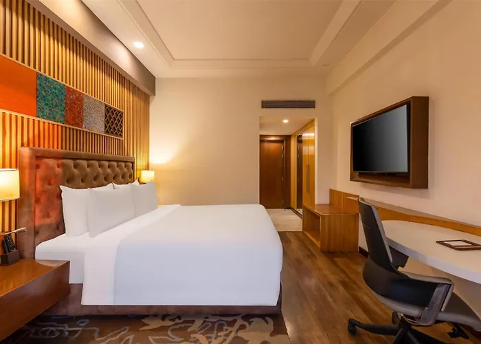Radisson Srinagar